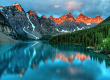 林书豪宣布退役